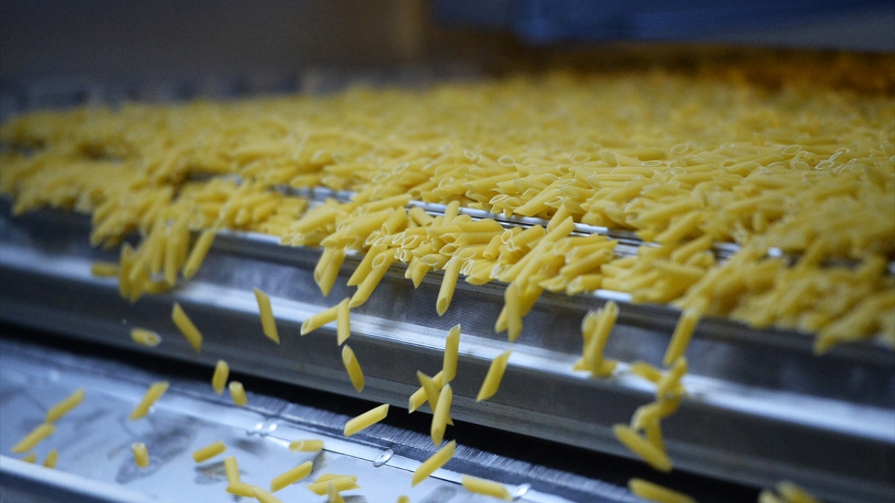 Külahçıoğlu, yılın ilk 5 ayında, geçen yılın aynı dönemine oranla gelir bazında yüzde 9`luk ihracat artışı yakalandığını belirterek, şunları anlattı: