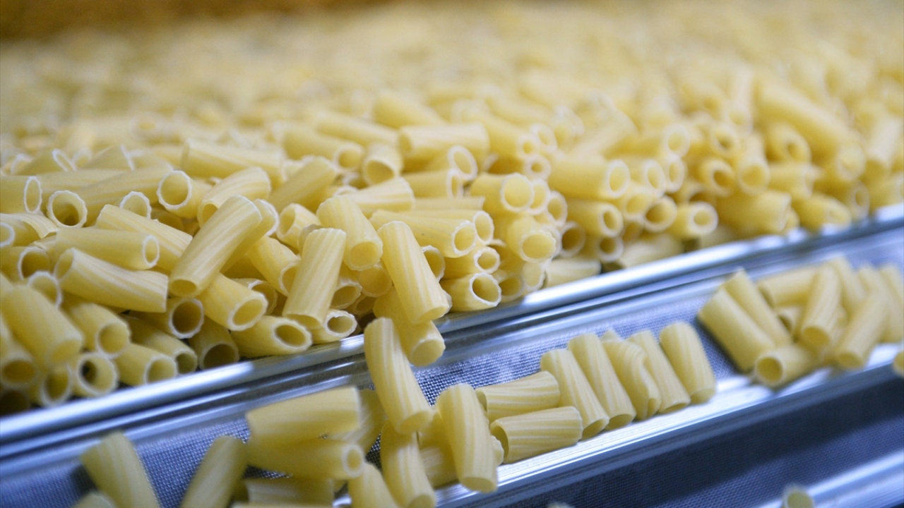 Külahçıoğlu, makarna üreticileri açısından 2019 yılının şu ana kadar iyi geçtiğini belirtti.