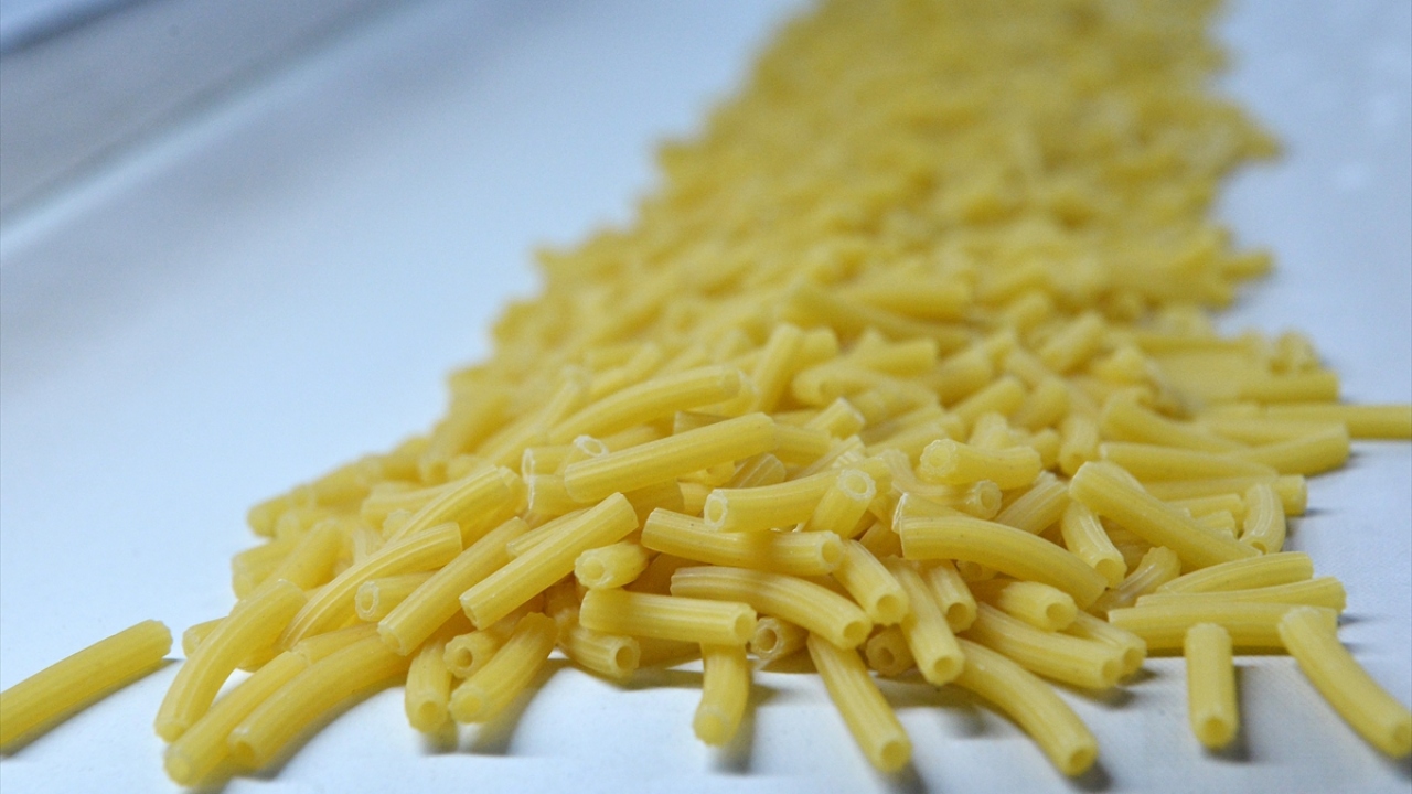 Ayrıca, ihracat miktarında yüzde 7`lik artışla sektörün yükselişini sürdürdüğünü vurguladı. 