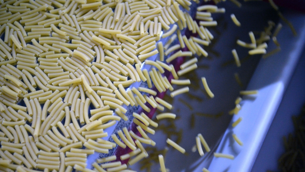 Ocak-mayıs ayında ihraç edilen makarna miktarı 538 bin 824 tona çıktı.