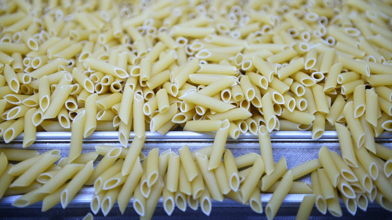 Üreticiler, 2019 yılı için belirledikleri yüzde 15`lik ihracat artışı hedefi için de umutlu.