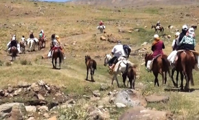 Muşlu kadınlar süt sağmak için kilometrelerce yol gidiyor