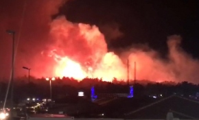 Hırvatistan’da orman yangını: 10 bin kişi tahliye edildi