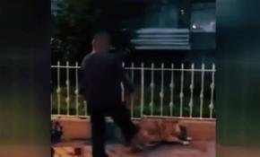 Köpeğe tekme atan kişiye para cezası