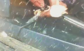 34 kişinin yaralandığı midibüs kazası kamerada