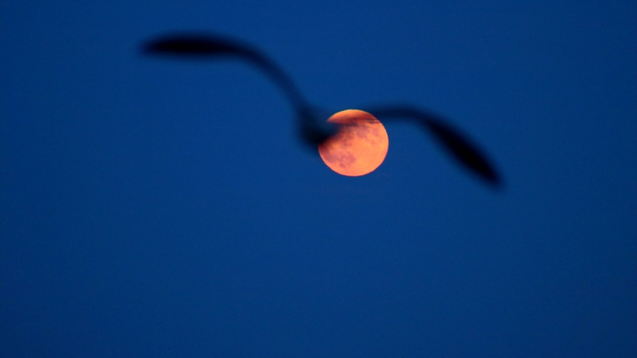 Tekirdağ`da dolunay