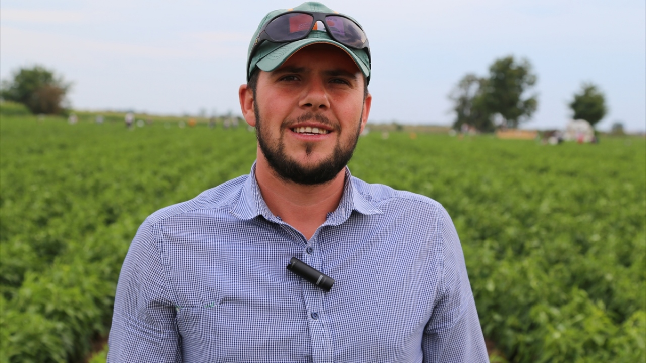 Karaağaç biberi üreticisi Tunahan Ule, nisanda ekilen biberi, temmuzun ortasında topladıklarını belirtti.