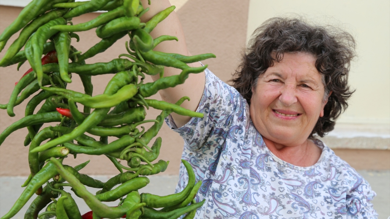 "İğne iplikle biberlerimizi diziyoruz."