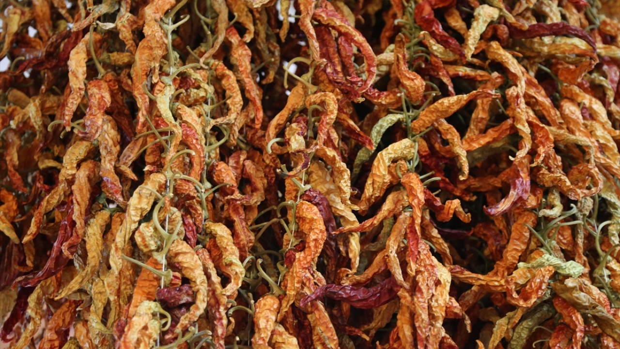 Biberler ciğercilere, kilogramı 5 liradan satılıyor.