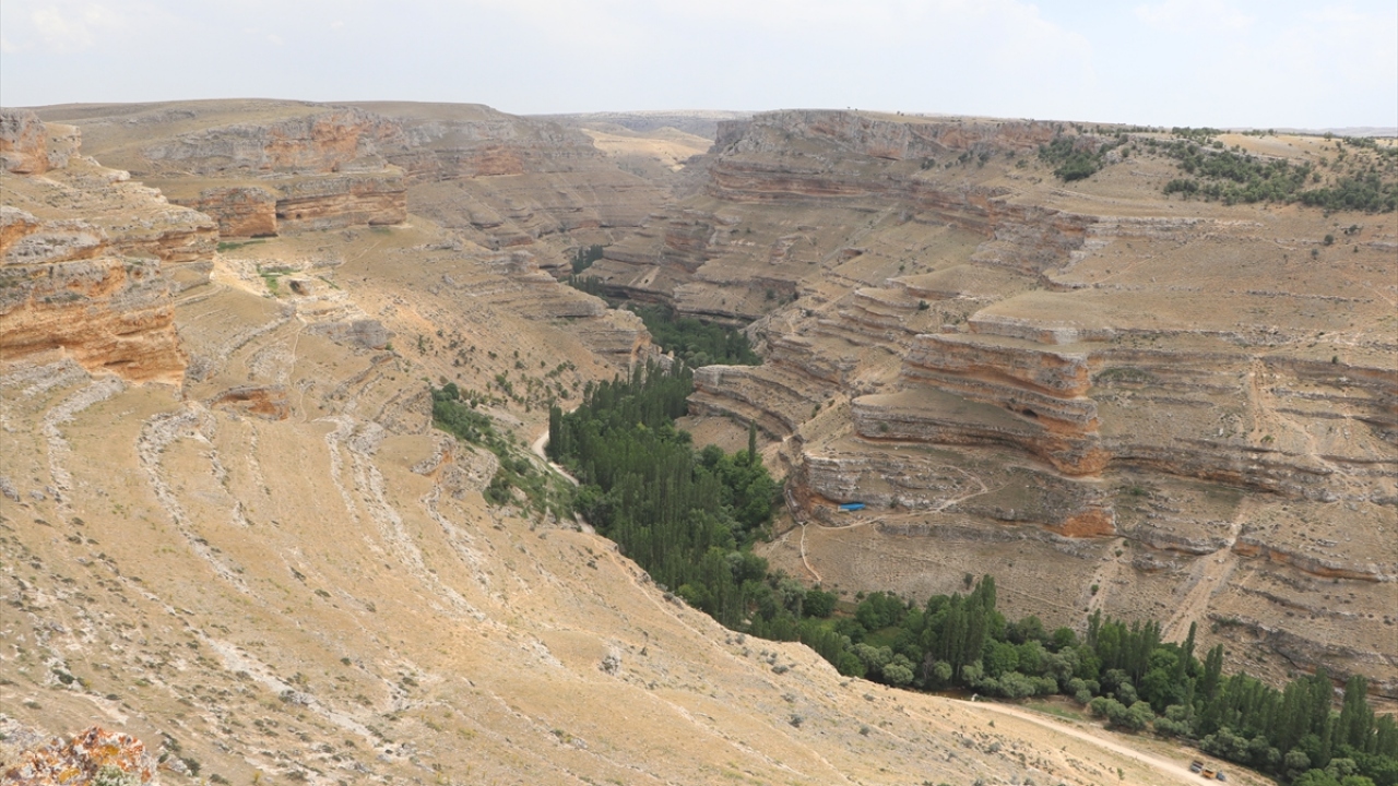 Dere çevresi yemyeşil kavak, ceviz ve söğüt ağaçları ile kaplı. Kanyonun oldukça dik yamaçları milyonlarca yıldır esen rüzgarla, usta bir ressamın fırçalarından çıkmışcasına şekillendirilmiş.