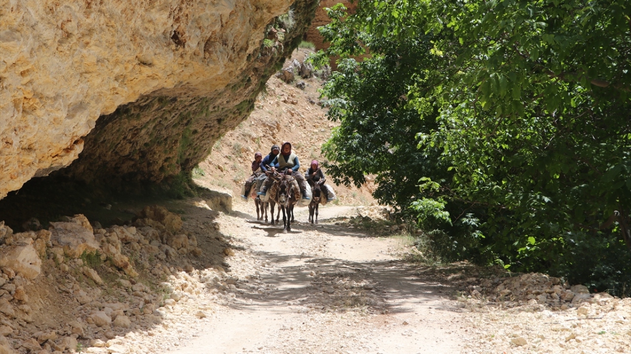 "Kendi imkanlarımızla kanyonu tanıtmaya çalışıyoruz"