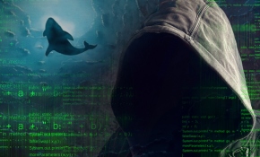 "Mavi Balina" ölüm saçıyor