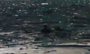 Düzce'de sele kapılan köpeği yüzerek kurtardı