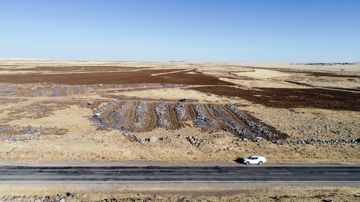 Türkiye`nin birçok bölgesinde bu zorlu işi yapanların olduğunu anlatan Acar, ancak Şırnak`ta sıcaklıktan dolayı bu işi yapmanın çok daha zor olduğunu belirtti.