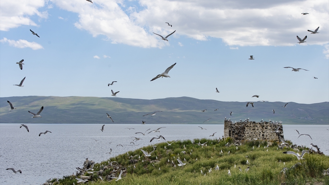 Balık Gölü`ndeki işletmecilerden Esma Atabey ise göle çok sayıda ziyaretçi gelmesi nedeniyle göl kıyısına turistik tesis kurduklarını aktardı.