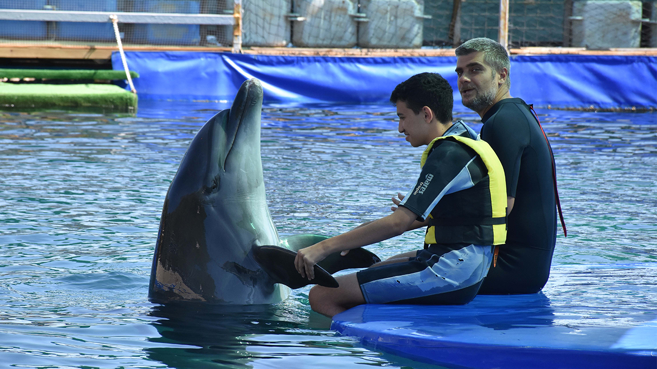 İçmeler bölgesindeki bir otelin sahilinde bulunan yunus terapi merkezine Türkiye`nin yanı sıra Avrupa`nın birçok ülkesinden gelen engelliler ve aileleri 40 dakikadan oluşan seanslar halinde terapiye katılıyor.