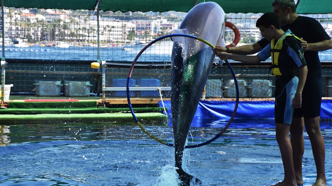Engelli çocuklar seanslarda yunuslarla yüzüp onlarla temas kuruyor.