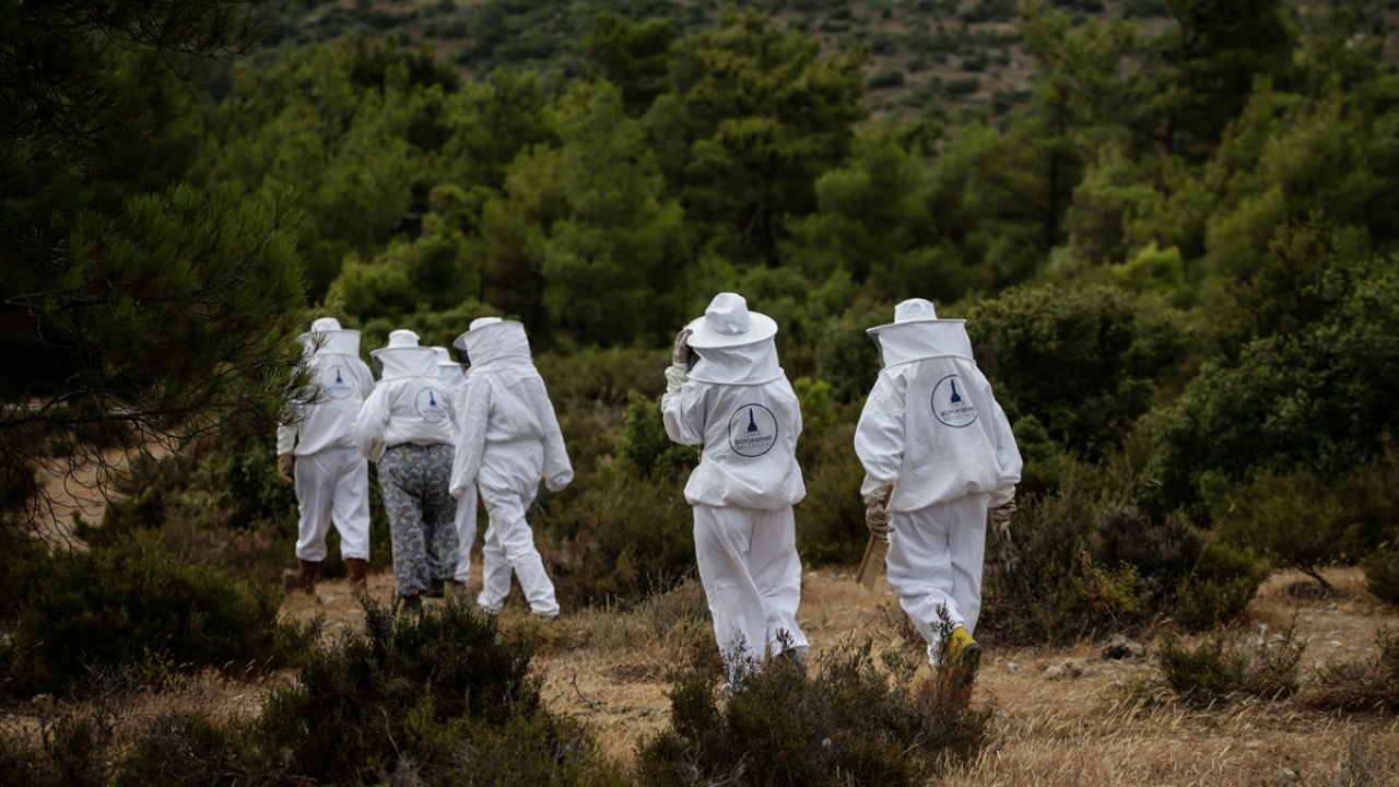 Kısa sürede önemli bir tecrübeye ulaşan kadınlar büyük emek verdikleri arılardan elde edecekleri bal için gün sayıyor. 