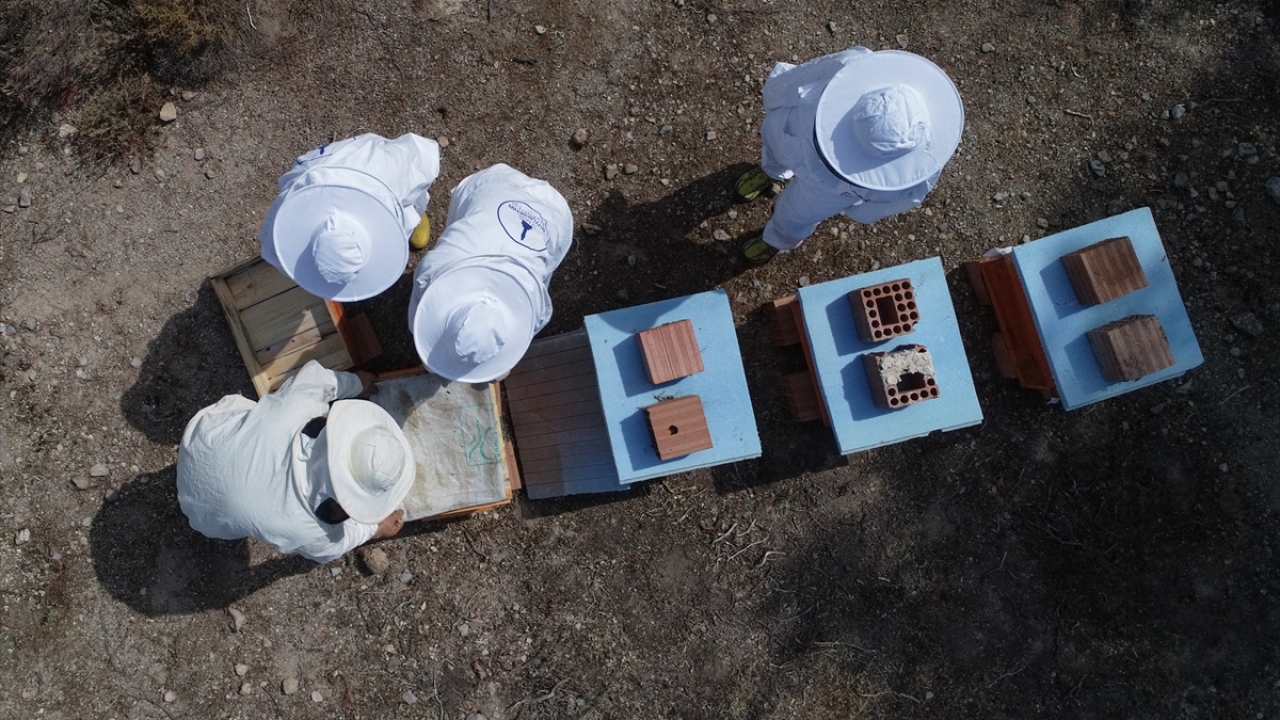 Köydeki arıcılığın tam bir dayanışma içinde ilerlediğini ifade eden Küçükkayalar, artık Barbaroslu gibi yaşadığını vurguladı. 