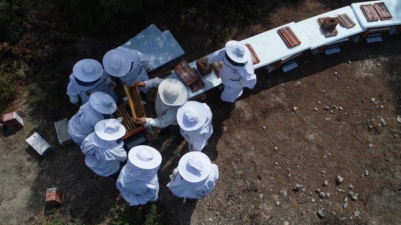 Özellikle son dönemde kadınların arıcılığa başlamasının örnek teşkil ettiğini anlatan Ersan, "Köyümüze gelen her misafirle bir aile oluyoruz. Dayanışma içinde anlaşarak hep birlikte üretim için kolları sıvıyoruz." şeklinde konuştu.