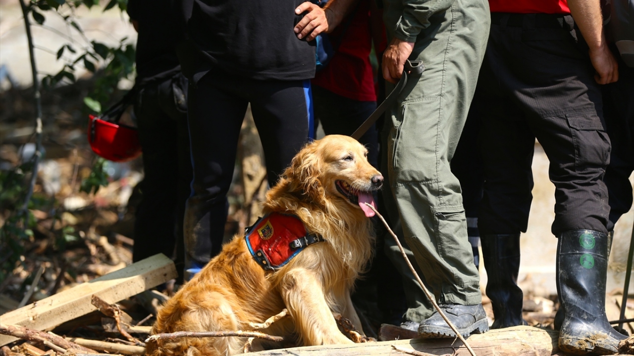 İş makineleri de köpeklerin işaret ettiği yerlere odaklanarak çalışıyor.