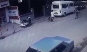 Gebe kediyi pitbullun önüne atıp parçalattılar