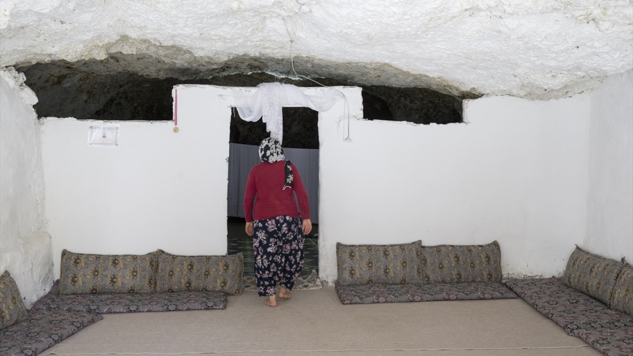 Serinlik misafirleri de cezbediyor 