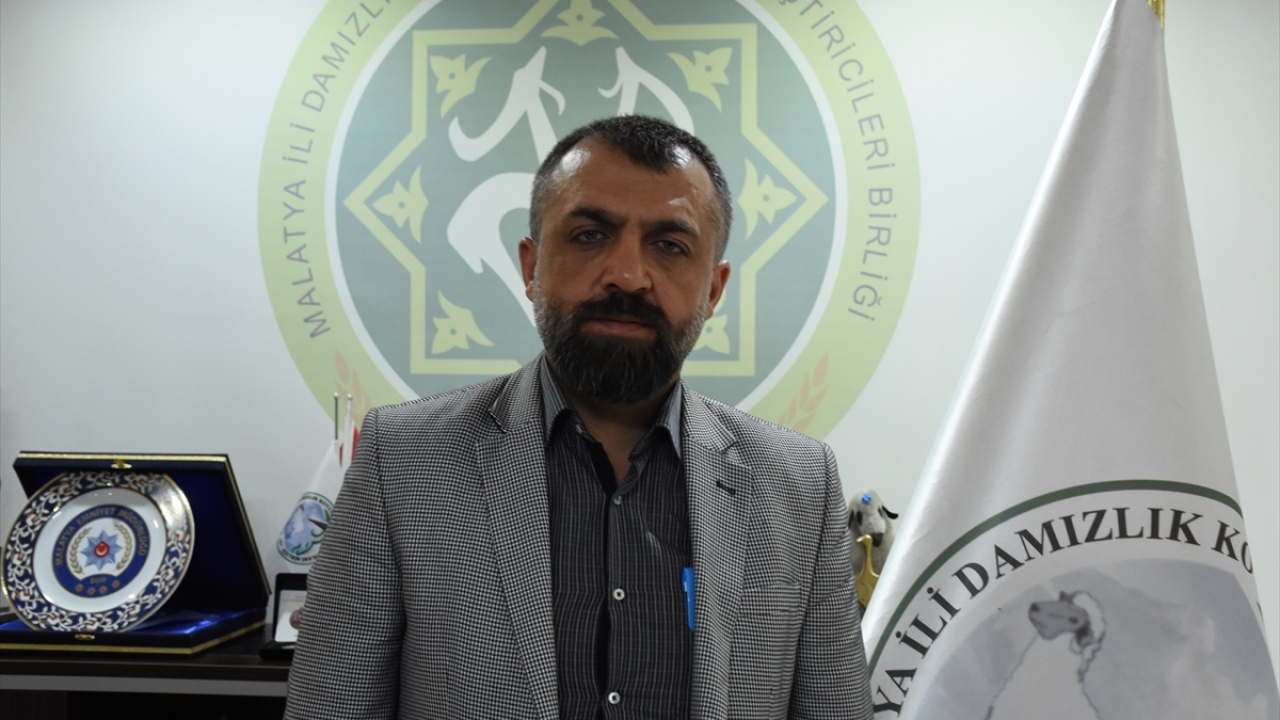 Türkiye Damızlık Koyun Keçi Yetiştiricileri Merkez Birliği Yönetim Kurulu Üyesi de olan Akın, yaptığı açıklamada, Türkiye genelinde yeterli sayıda kurbanlık bulunduğunu söyledi.