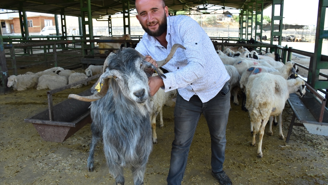 "Satışların artmasını bekliyoruz"
