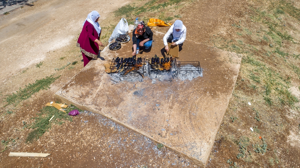 Diyarbakırlı kadınlar hava sıcaklığına rağmen, park, bahçe ve açık alanlarda yakılan mangal ateşinde gün boyu patlıcan közlüyor.