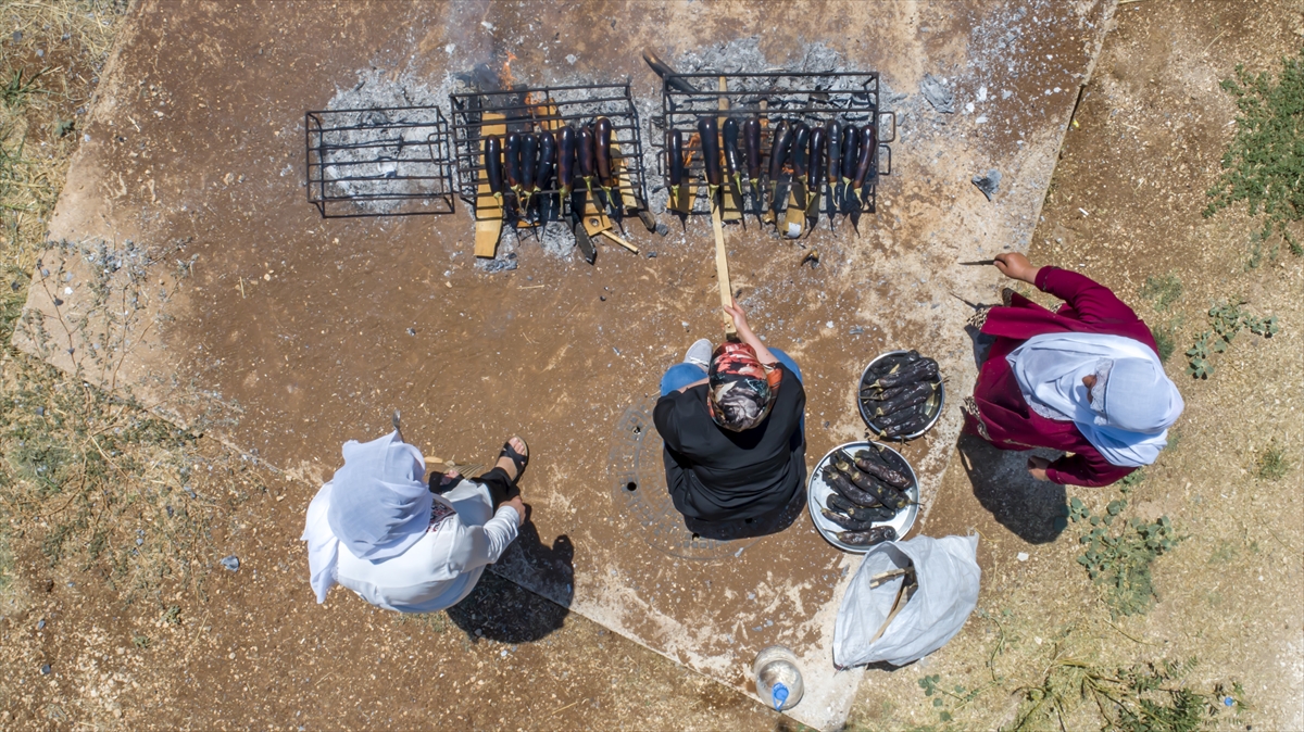 Kış mevsiminde tüketilecek babaganuç için sebzelerin yoğun yetiştiği yaz mevsiminde başlayan tatlı telaş, kimi zaman arbane eşliğinde eğlenceye de dönüşüyor.