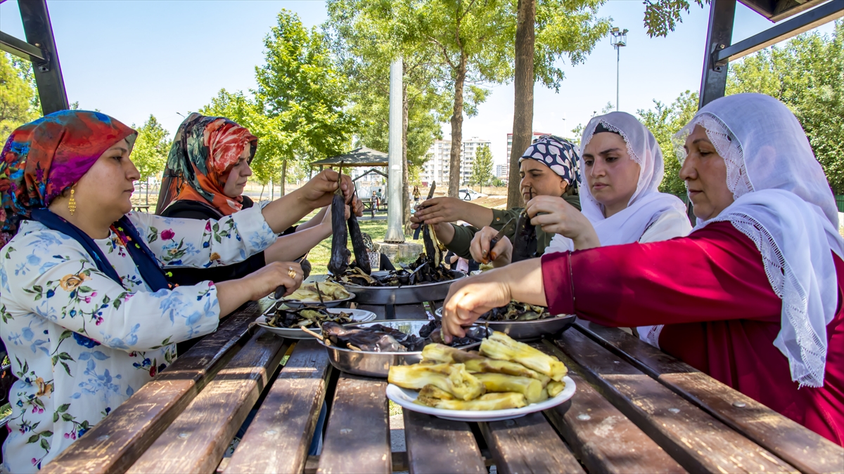 "Her köşede babaganuç yapan kadınları görürsünüz" 