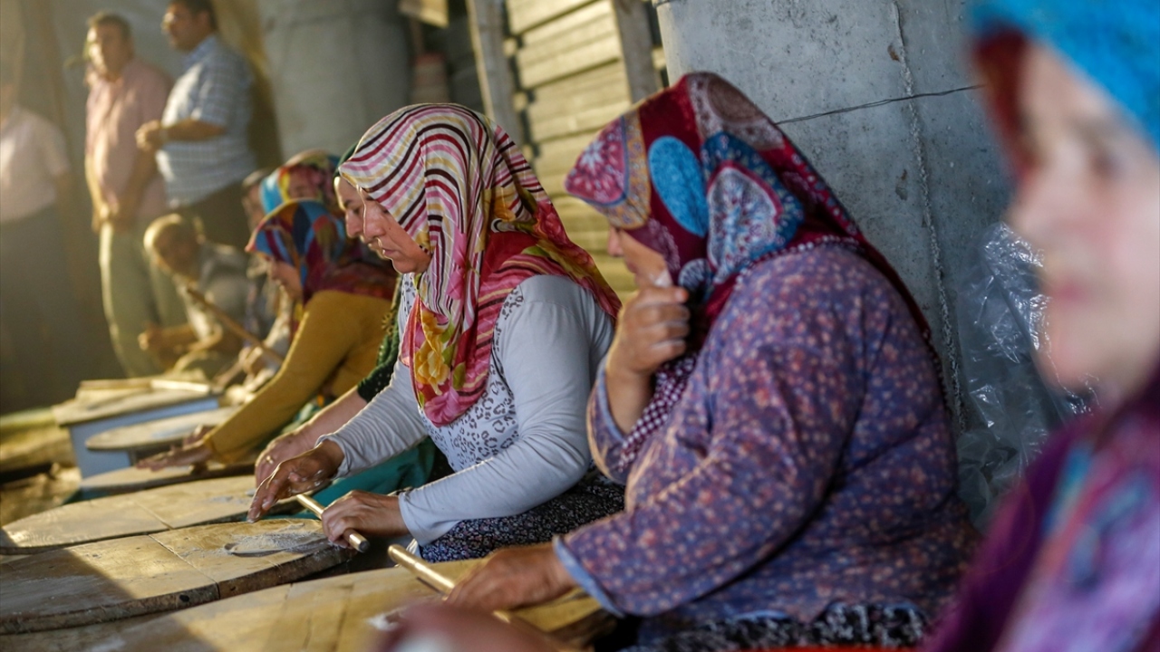 "Herkes canla başla çalışıyor"