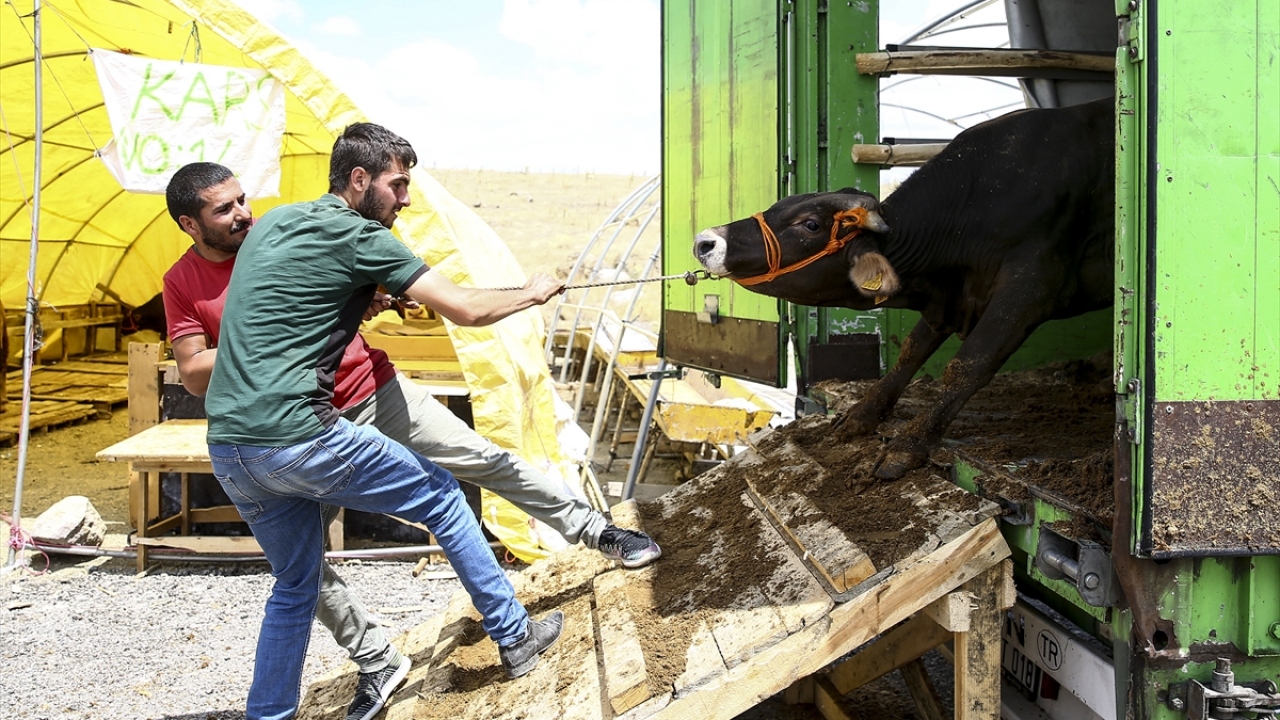 Keçiören Belediyesi Zabıta Amiri Veysel Altıntaş, Bağlum`daki satış bölgesinde, 311 çadırda besicilerin satış yapmaya başladığını, alıcıların ve satıcıların herhangi bir sorunla karşılaşmaması için gerekli tüm tedbirlerin alındığını belirtti.