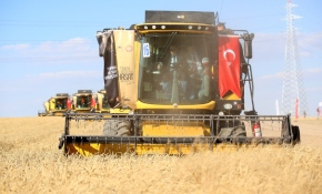 Cumhurbaşkanı Erdoğan biçerdöverle hasat yaptı