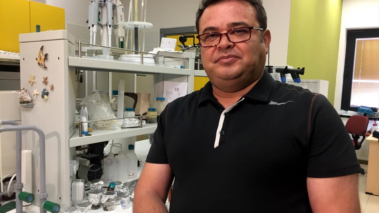 Arı sağlığının korunması gerektiğine dikkat çeken Ergül, bal arısı yetiştiriciliğinin artırılabileceğini, her bir arının yaşam için ayrı bir yeri olduğunu belirtti. 