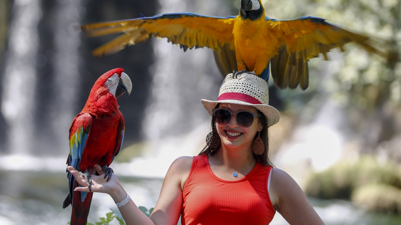 Kent merkezine 10 kilometre uzaklıkta, Kepez ilçesindeki şelale, doğal güzelliğiyle yerli turistlerin yanı sıra yabancıların da gözdesi.