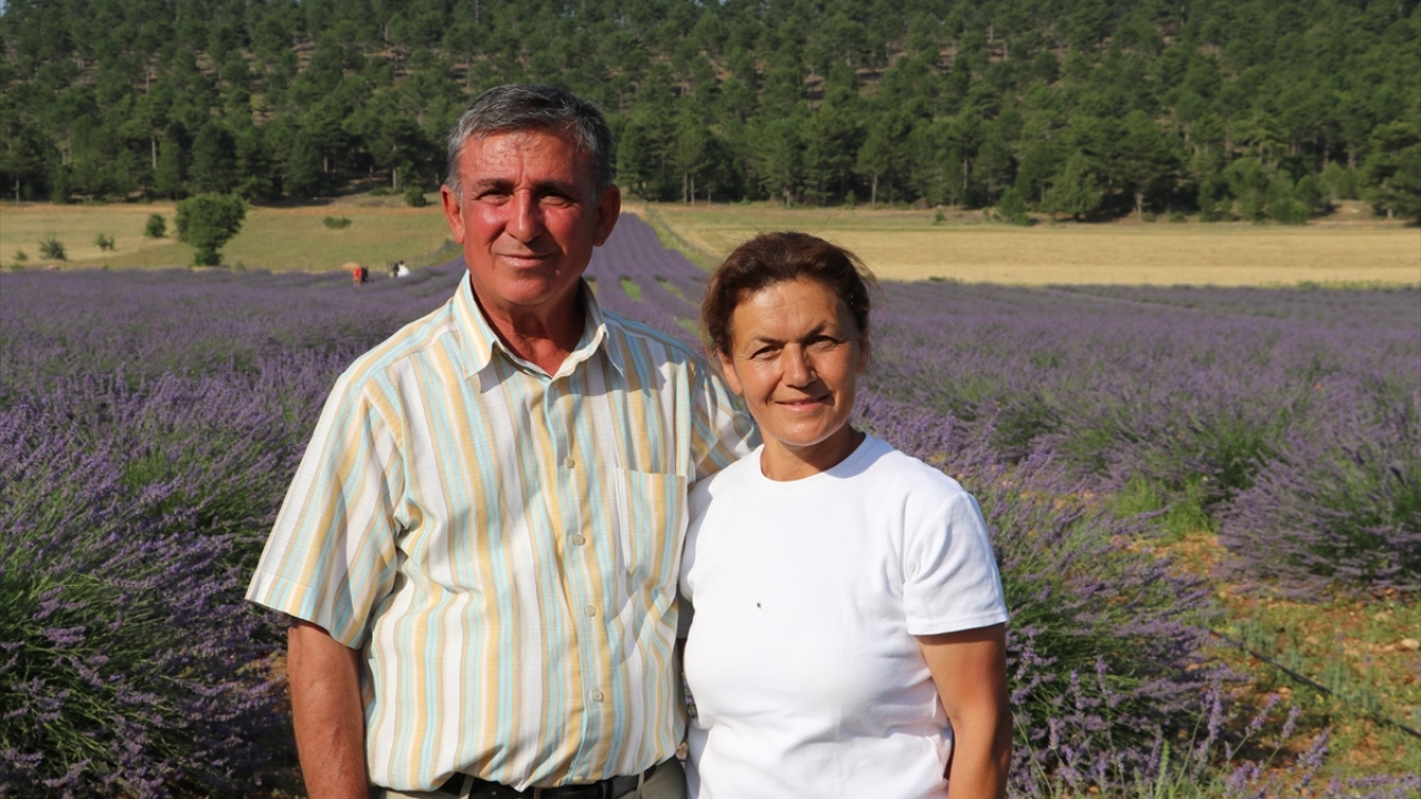 İstanbul, Ankara, İzmir, Antalya ve Bursa gibi şehirlerden özellikle hafta sonları Pamukkale`ye günübirlik gelen ziyaretçiler, travertenlerdeki şifalı sulara girdikten sonra lavanta tarlasını gezip fotoğraf çektirmenin keyfini çıkarıyor. 