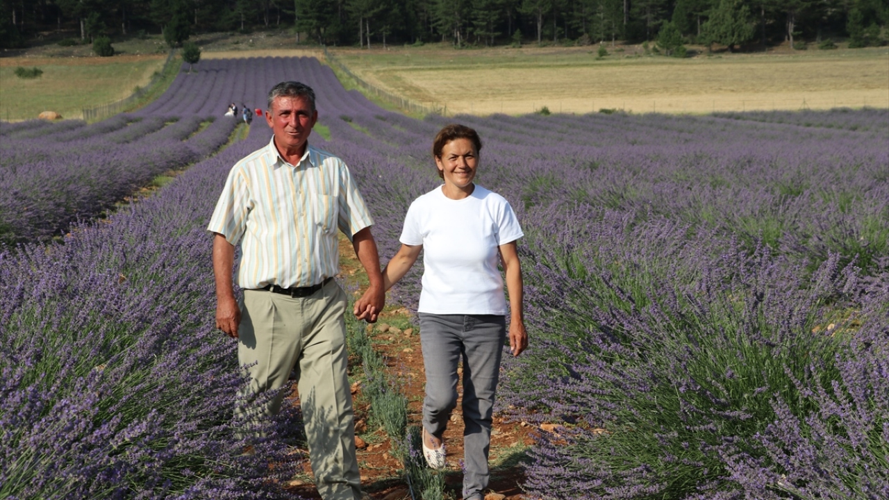 İş adamı 59 yaşındaki Hüseyin Gündoğar, eşi Sabiha Gündoğar`ın lavantaya ilgisi nedeniyle 3 yıl önce tekstil atölyesini kapatarak bu alanda işler yapmaya karar verdiğini söyledi.
