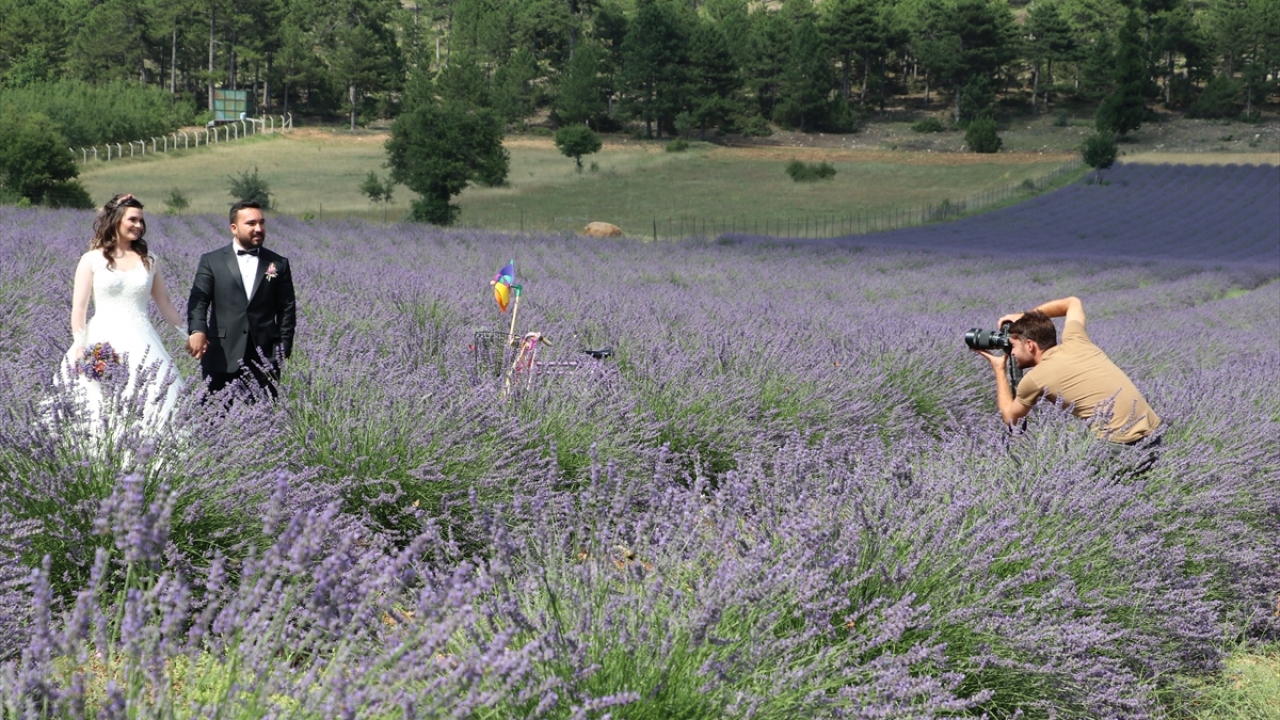 Gündoğar, lavanta bahçesine şimdiye kadar 5 bin kişinin üzerinde ziyaretçinin geldiğini, buranın tur rotaları arasına girdiğini ifade etti.