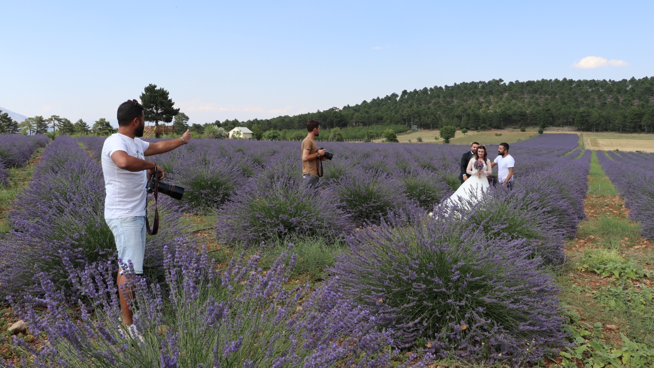 Burada gelin ve damat fotoğrafları çeken İbrahim Güler ise özellikle yeni evlenen çiftlerin lavanta tarlasını tercih ettiğini söyledi.