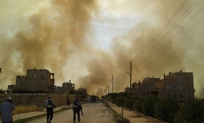 Mardin'de ormanlık alanda yangın