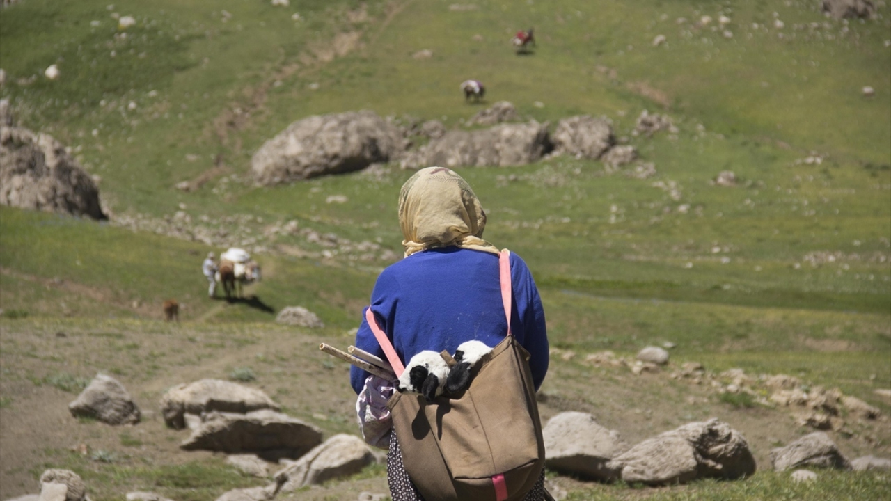 Bölgede genellikle "Şavak" aşiretine mensup olan göçerlerin erkekleri gece gündüz koyunları güderken, kadınları ise günde iki kez sağımını yaptıkları koyunların sütüyle peynir üretiyor. 