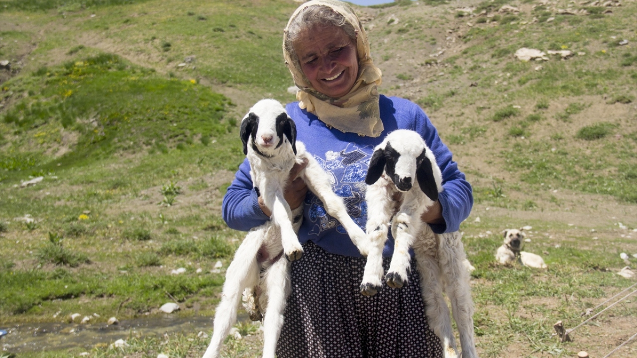 Yaz aylarında hayvanlarını otlatmak için Tunceli`nin Çemişgezek, Mazgirt, Pülümür ve Hozat ilçeleri ile Şanlıurfa`nın Siverek ilçesinden gelerek Ovacık`taki yaylalara çıkan göçerler, zorlu doğa koşullarıyla mücadele ederek geçimini hayvancılıkla sağlıyor.