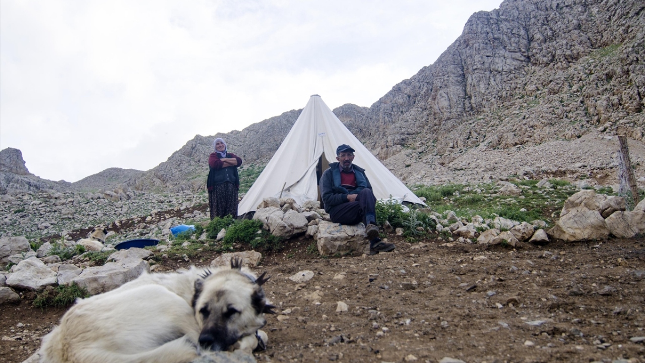 Mayıs-ekim ayları arasında konakladıkları yaylalarda doğayla iç içe, eğitim, sağlık, teknoloji ve sosyal hayat imkanlarından uzak yaşayan göçerler, yıllardır et ve süt ürünleri üretip ülke ekonomisine katkıda bulunuyor. 