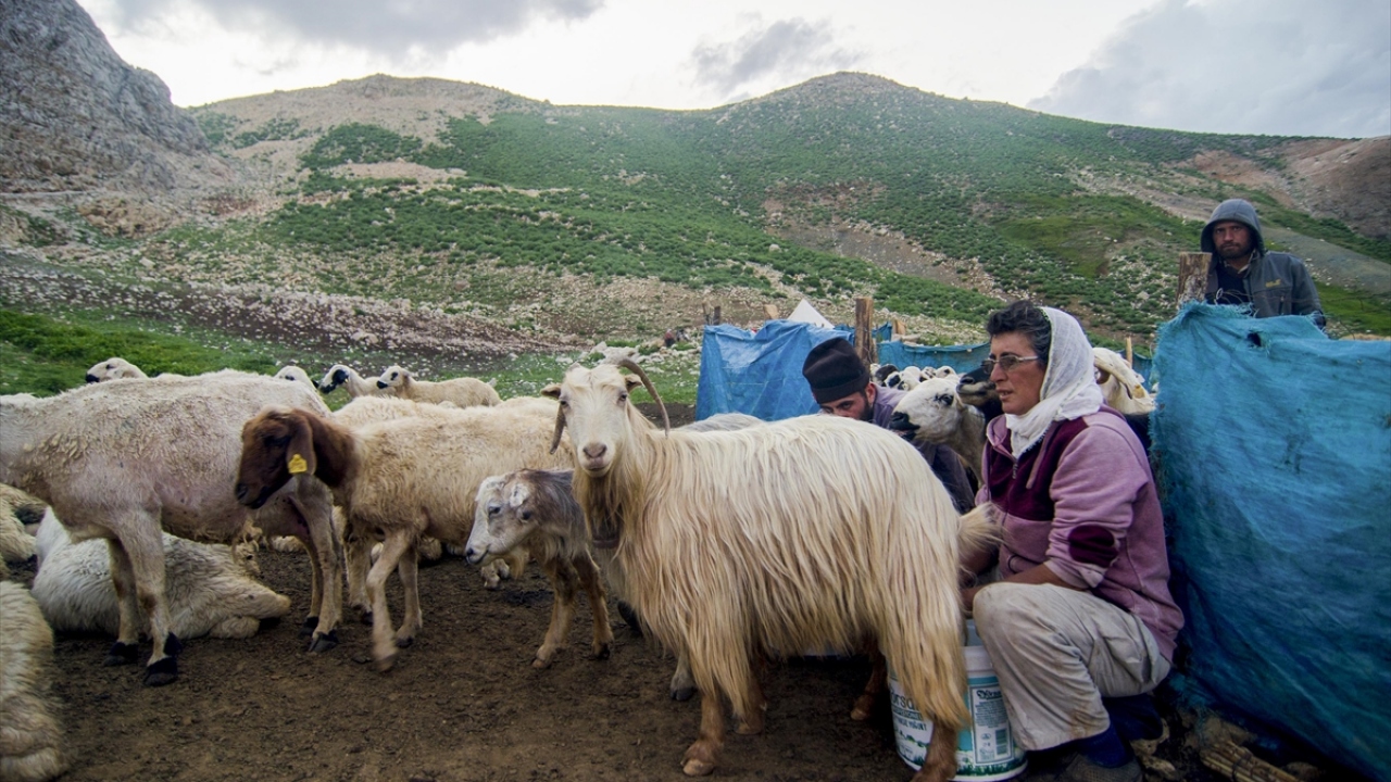 Göçerlerden 55 yaşındaki İbrahim Köse, yaptığı açıklamada, yaklaşık 40 yıldır hayvancılıkla uğraştığını söyledi.