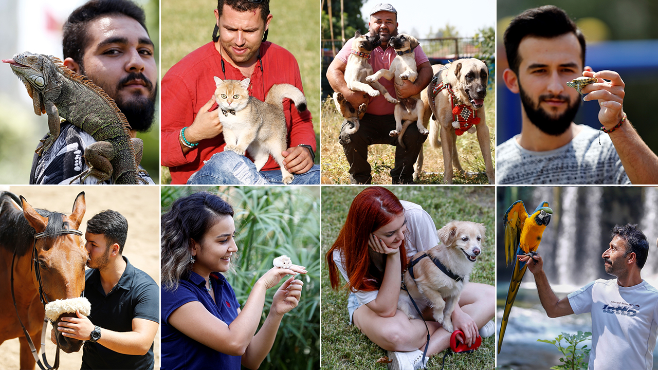 Evlerinde hayvan besleyenlerin çoğunun farklı bir hikayesi bulunuyor. Kimisi yalnızlıktan, kimisi bir hayvana el uzatmak için evinin kapılarını bu küçük canlılara açıyor.  
