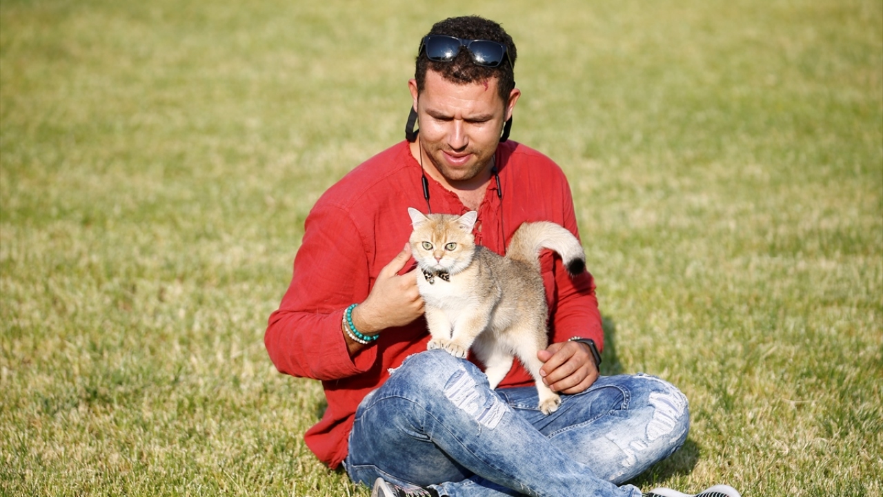 İbrahim Duruk da "British" cinsi altın renkli, zümrüt gözlü kedisinin 2,5 yıldır can dostu olduğunu belirtti.