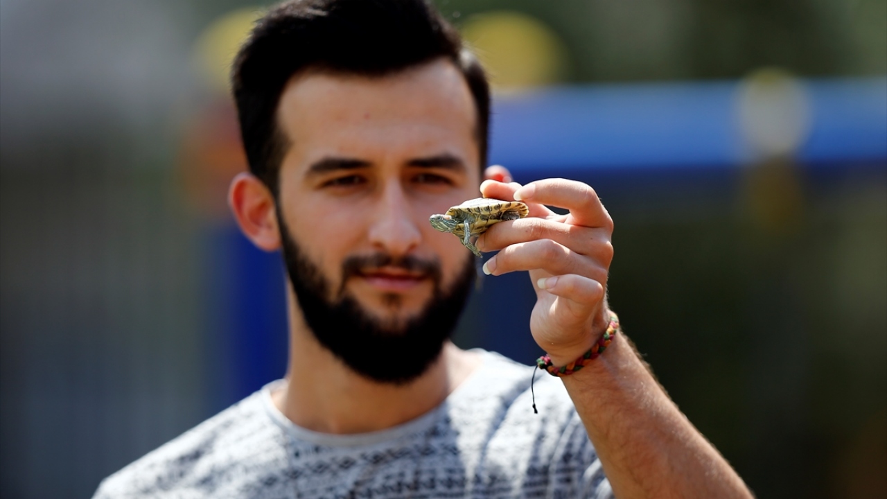 Akdeniz Üniversitesi Gazetecilik Bölümü öğrencisi Akif Yılmaz Ordu (20) da bir yıl önce aldığı ve "Haydar" ismini verdiği su kaplumbağasını çok sevdiğini söyledi.