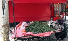 Semizotu satarak torunlarına bakan Fatma teyze